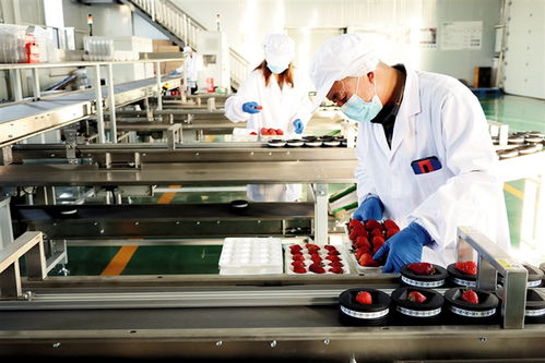 鄂爾多斯 建設農副產品電商服務中心，賦能養生保健服務新生態